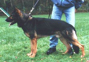 Agbar BETHME - V1*/D/1995