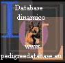 HOMEPAGE pedigreedatabase